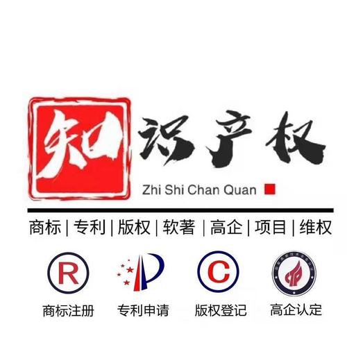 知识产权服务 创新时代的战略支撑与价值引擎