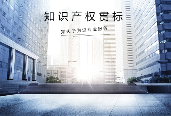 知识产权贯标与知识产权服务 企业创新发展的双引擎