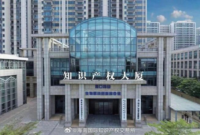 海口知识产权服务业集聚区揭牌设立 打造自贸港创新保护新高地
