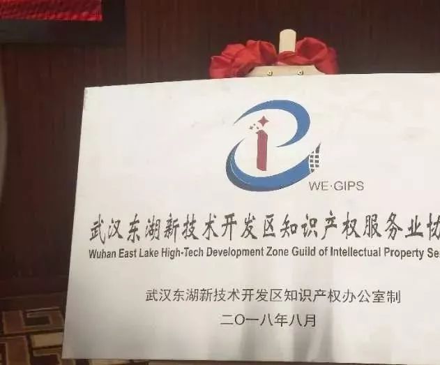全省首家知识产权服务业协会在光谷成立 — 构筑创新生态新支点