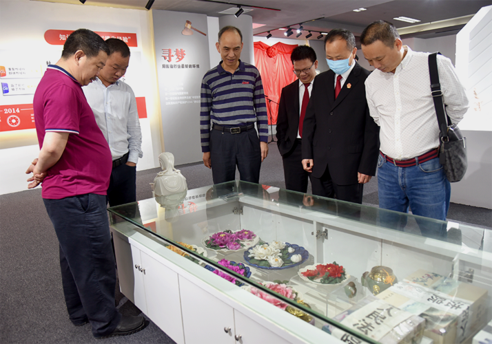 多维度保护与全链条服务 知识产权保护典型案例的集中展示与服务体系构建